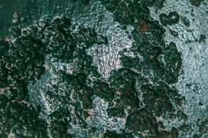 Pitted green metal surface due to rust corrosion on a boat or ferry. Metal surface covered in thick green paint to protect it from corroding even more.