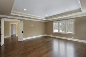 Master bath in new construction home with tray ceiling